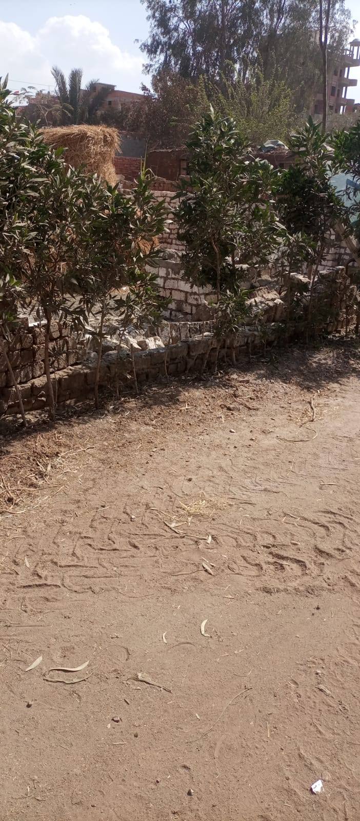 1-data-source-scenario-c