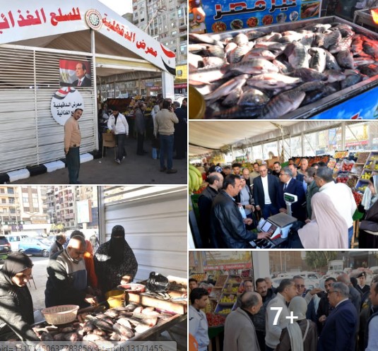 محافظ الدقهلية يتفقد المعارض الدائمة للسلع الغذائية بحي شرق وغرب المنصورة